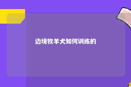 边境牧羊犬如何训练的